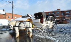 Marche De Noel   024